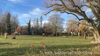 Der Summerpark wird im Sommer wieder zur Seebühne