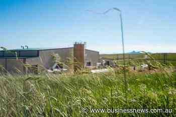 Production under way at Lance