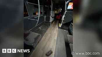Passenger injured after brick 'thrown at bus'