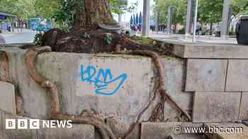 Overgrown trees and re-opening public toilets