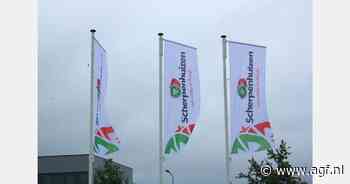 Scherpenhuizen groeit na overname Primeale in peulvruchten, bosuien, spruiten en radijs