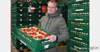 "Uitzonderlijk hoog percentage hagelschade tot een derde van het totale volume"