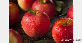 Op één na laagste Duitse appeloogst in de afgelopen tien jaar