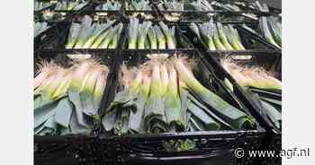 "Nu Polen en Frankrijk, naast Spanje, ook op de markt zijn, kunnen we mooie prijzen maken"