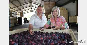 Zuid-Afrikaanse steenfruitexporteur heeft goede kaarten dit seizoen