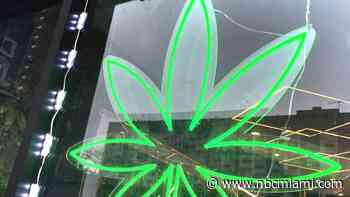 Florida judge rules against marijuana dispensaries at gas stations