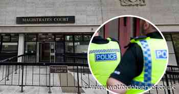 Akita dog's alleged owner pleads not guilty after North Watford cats killed