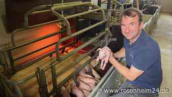 Maul- und Klauenseuche: Angst in Bayerns Ställen