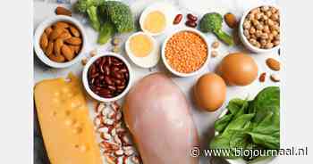 Acht trends in de eiwittransitie...