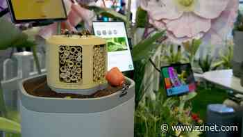 Love your smart bird feeder? This pollinator habitat has flower-shaped 4K cameras
