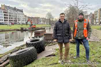 Zwanen even weg wegens werken: “Oevers dreigden in te storten”