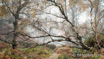 Why Consistency Matters More Than Talent