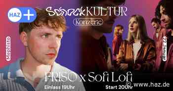 Angelehnt an Kiezkultur-Festivals: Schockkultur bei Faust Hannover