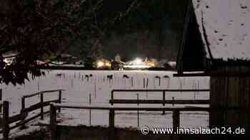 „Wir werden Verbrecher genannt“: Tod eines Hirschs bei Rottach-Egern löst Welle der Empörung aus