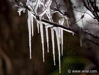 Ask the Meteorologist: What is the polar vortex, and why do we care?