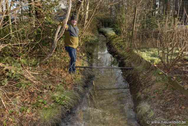 Balense Grijnsveldloop ernstig vervuild: “Onbegrijpelijk, het rioolwater loopt rechtstreeks de beek in”