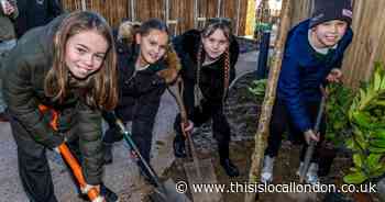 School children help plant trees at new housing development in Harlow