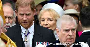 The secret nickname Palace staff have for Prince Harry and Prince Andrew amid Royal controversies