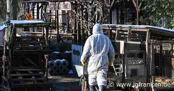 Keine weiteren Seuchenfälle - London verhängt Importverbot