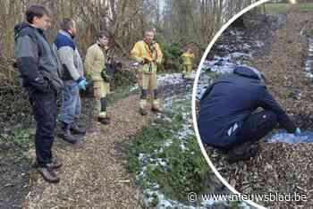 Paniek omdat beekje plots blauw kleurt, maar boosdoener blijkt onschuldig: “Dit hebben we nog nooit meegemaakt”