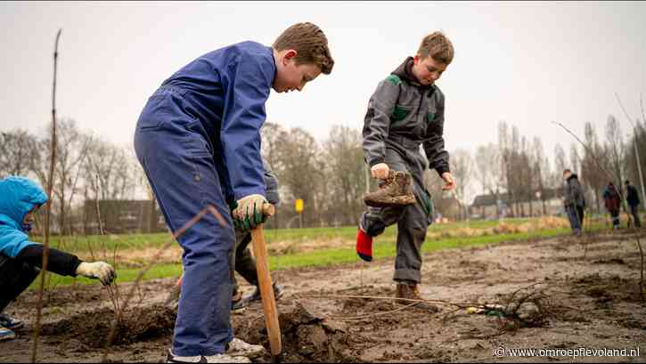Creil - Het gaat niet goed met de bij, maar deze kinderen helpen hem een handje