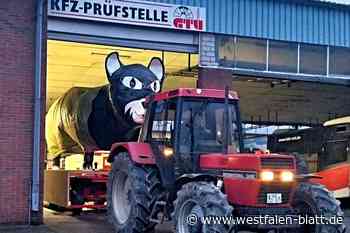 Nieheim: Schwarze Katze ist übern TÜV