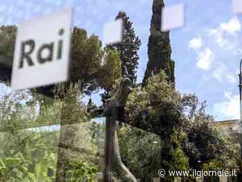 Rilevazione oltre i limiti, la Rai corre ai ripari: ecco cosa c'è dietro l'allarme