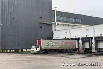 “Personeelsleden zijn blij met duidelijkheid, maar dit blijft het slechtst mogelijke verhaal”: Amerikaans bestuur verklaart Tupperware Aalst failliet