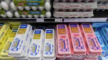 Egg prices spike because of Avian Flu cases