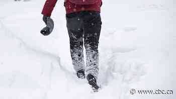 Up to 40 cm of snow forecasted in areas north of Toronto, Environment Canada warns