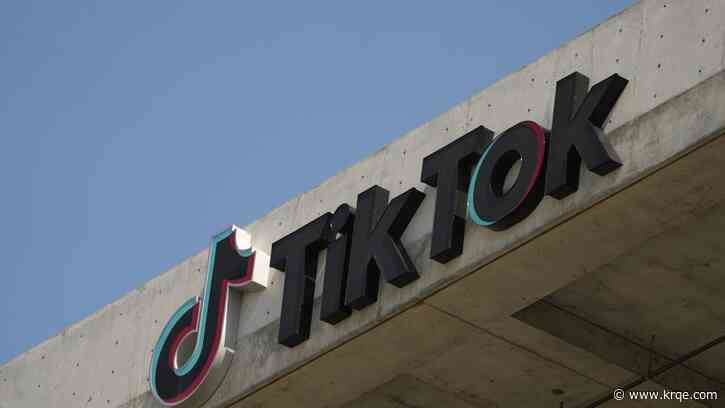 TikTok denies reports of sale to Elon Musk: 'Pure fiction'