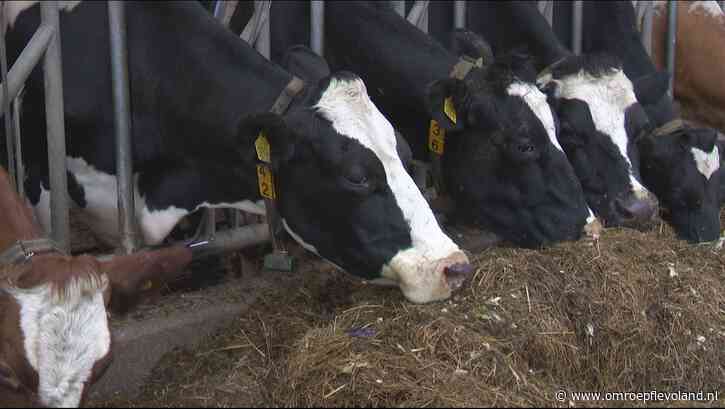 Flevoland - Nieuwsoverzicht 14/01 | Maatregelen om dreiging MKZ  •  Geen Amsterdamse parkeerders