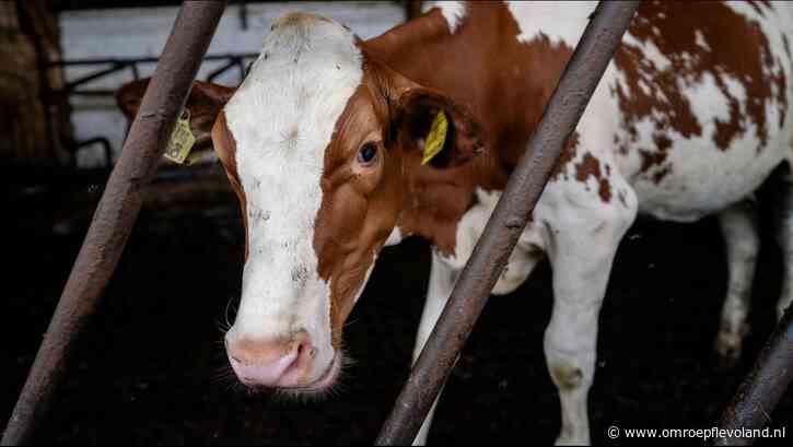Flevoland - Maatregelen bij scholen in verband met mond-en-klauwzeer