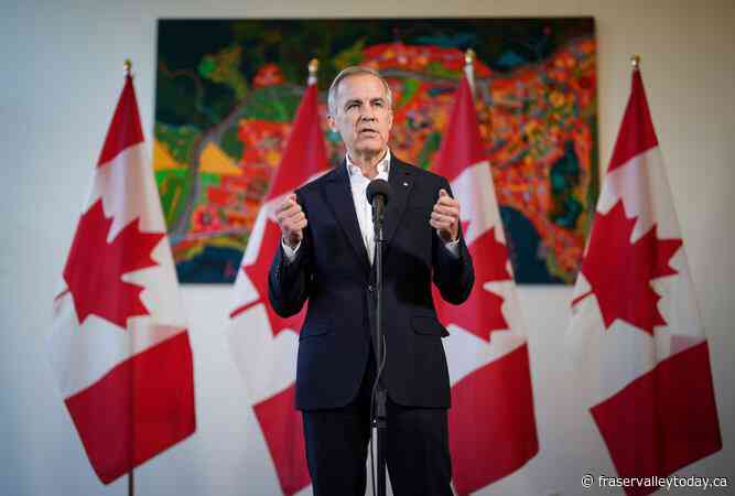 Liberals prefer Mark Carney over Chrystia Freeland as next leader, poll suggests