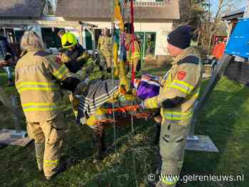 Brandweer bevrijdt ezel uit benarde positie