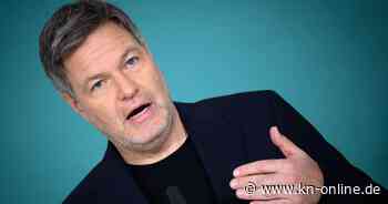 Bundestagswahl live: Lindner wirbt um AfD- und BSW-Wähler – Habeck für 40-Millionen-Euro-Fonds