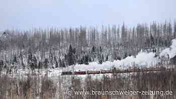 Wandern, Sport und traumhafte Landschaften: Was ist der Harz?