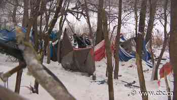 Manitoba plans to shut down homeless encampments one at a time, finding housing for each person