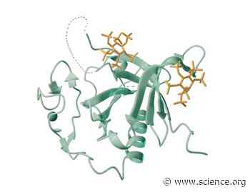 Conditional requirement for dimerization of the membrane-binding module for BTK signaling in lymphocyte cell lines | Science Signaling