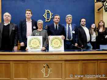 "Si può partire entro sei mesi": la mossa di Calenda sul nucleare