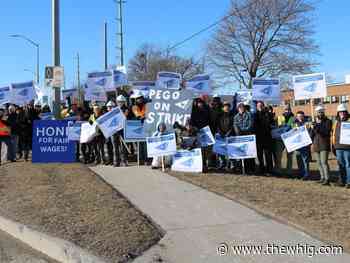 Ongoing PEGO strike halts projects in Kingston