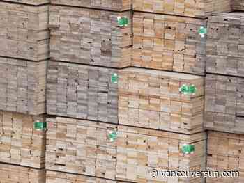 Forest industry fears B.C. policy review as it faces Trump tariff threats