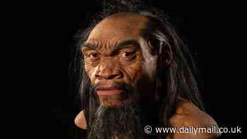 Scientists reveal face of 'completely unknown' human ancestor that rewrites history of our evolution