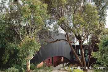 Burnt timber meets earthy tones: Somers House by Kennedy Nolan