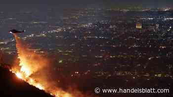 Waldbrände: Feuer in LA könnten zur teuersten Brandkatastrophe der USA werden
