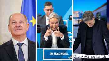 AfD erzielt erneut Erfolg in Umfrage: Weidel wird von Deutschen im Problemlösen vertraut