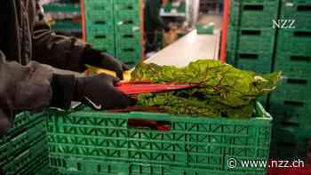 Frisch, regional – und defizitär: Woran der Schweizer Online-Hofladen Farmy gescheitert ist