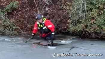 Video: Dog stuck in frozen lake saved by Suffolk crews