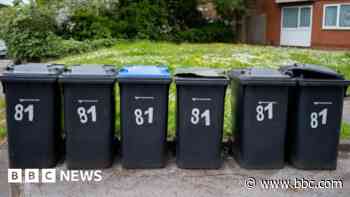Residents' fears over fortnightly bin collections