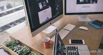 Kamer van Koophandel: groei van aantal zzp’ers in Nederland vertraagt in 2024